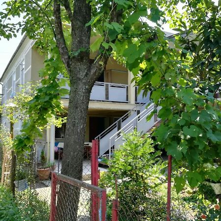 Guest House Of Givi 코불레티 외부 사진
